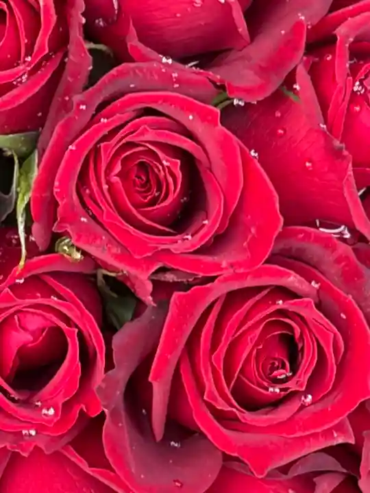 上尾御嶽神社(埼玉県)