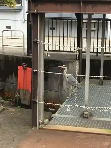 於保多神社の動物