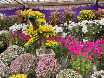 亀戸天神社のその他建物