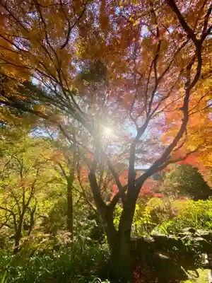 神應寺(京都府)