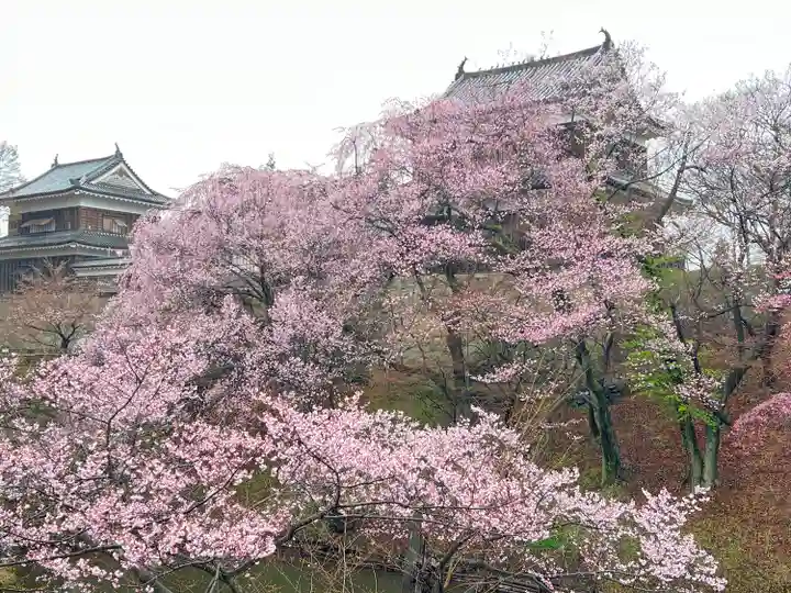 眞田神社の自然