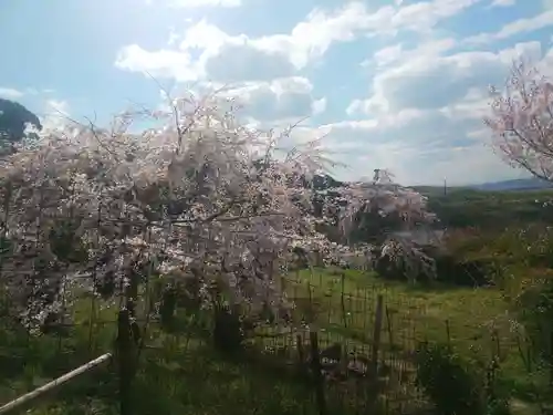 地蔵院の景色