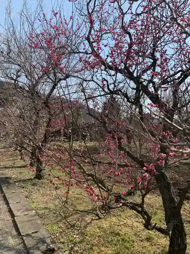菅原神社の自然