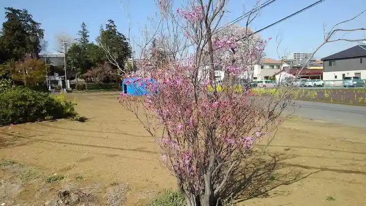 上川原日枝神社の景色