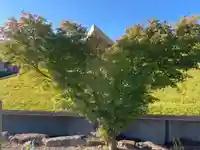 伊勢の国 四天王寺の自然