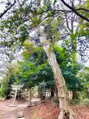 大鷲神社の自然