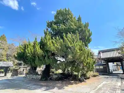 大蓮寺(滋賀県)