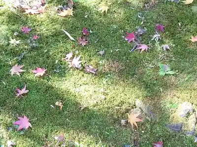 宝厳寺(滋賀県)