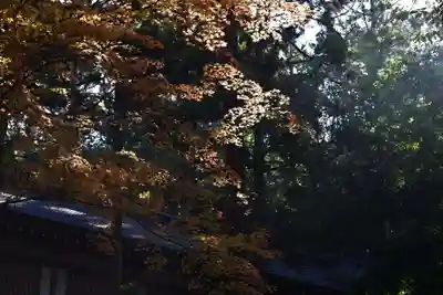 大神神社(奈良県)