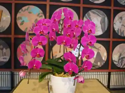 三毳不動尊の周辺