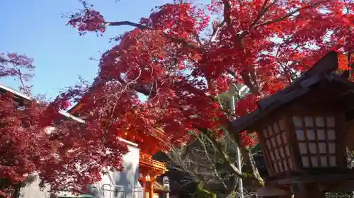 賀茂別雷神社（上賀茂神社）の自然