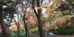 賀茂御祖神社（下鴨神社）の自然