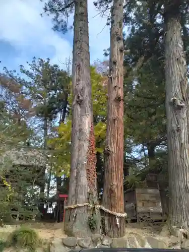 神明社の御朱印