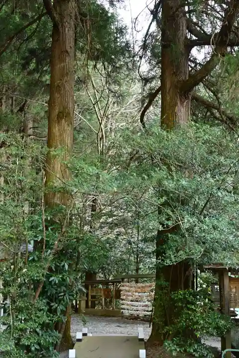 荒立神社(宮崎県)