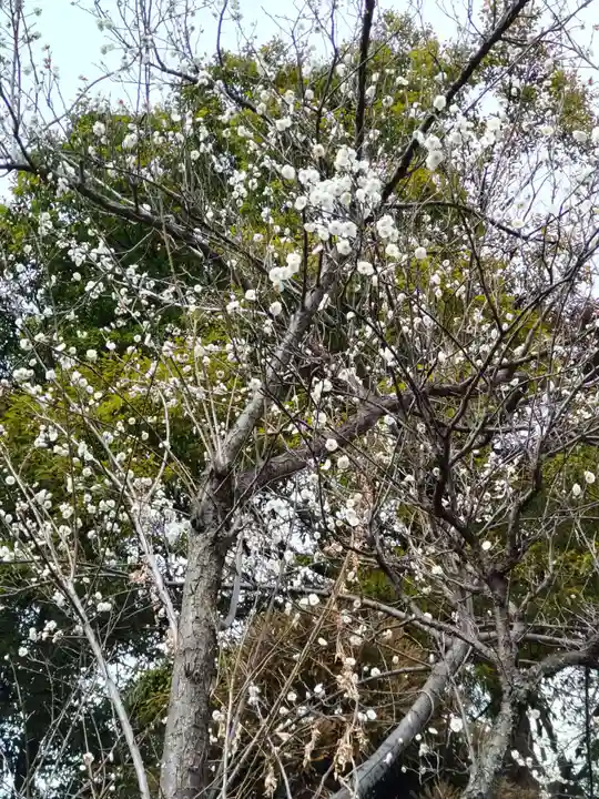 狭山山不動寺の周辺
