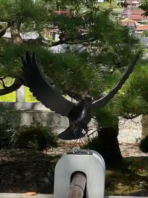 大斎原（熊野本宮大社旧社地）(和歌山県)