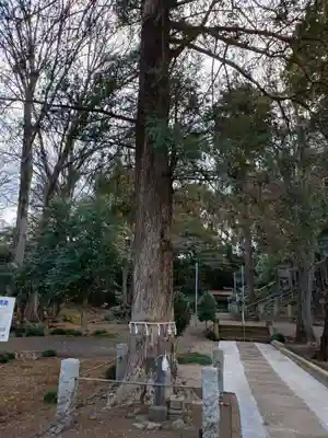 氷川神社(埼玉県)