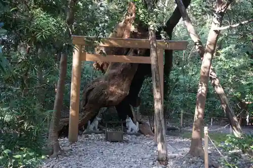 月夜見宮（豊受大神宮別宮）の鳥居