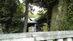 八雲神社 (通五丁目)の本殿