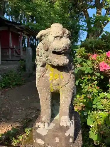 八雲神社の狛犬