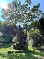 武雄神社(佐賀県)