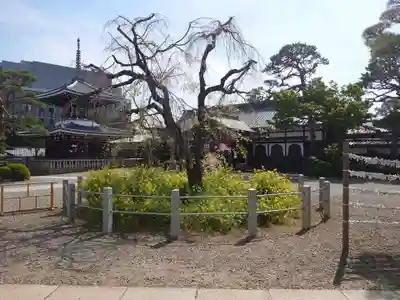 護国寺のその他建物