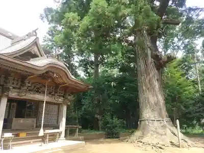 松山神社(千葉県)