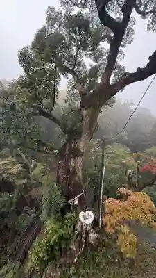 笠森寺(千葉県)