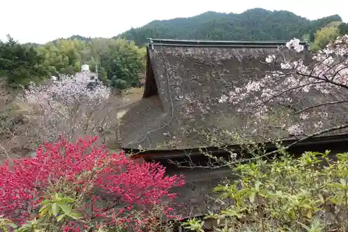 談山神社の自然