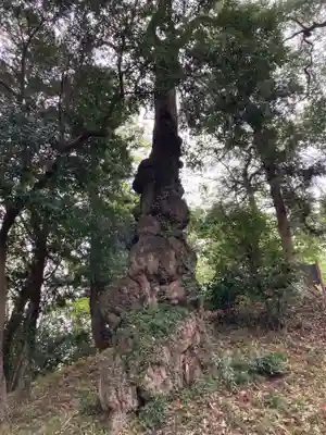 内外大神宮(茨城県)