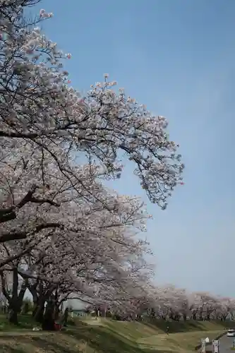 白髭神社(岐阜県)