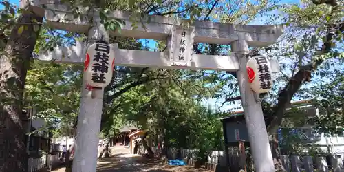 日枝神社の鳥居