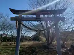 小坂熊野神社(茨城県)