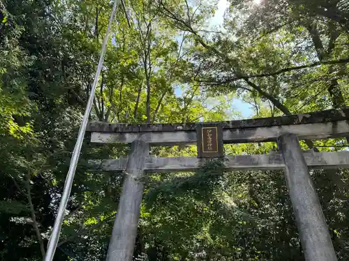 伊和志津神社の鳥居