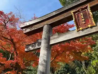 高麗神社(埼玉県)