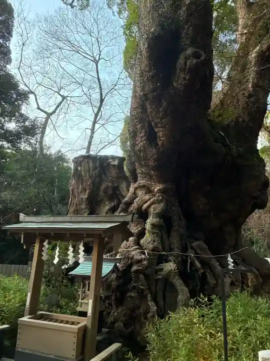 來宮神社の{uncategorized: "未分類", other: "その他", undefined: "問題あり", building: "その他建物", grave: "お墓", sacred_gate: "鳥居", guardian: "狛犬", statue: "像", buddha: "仏像", history: "歴史", nature: "自然", garden: "庭園", animal: "動物", pagoda: "塔", temizu: "手水舎", mountain_gate: "山門・神門", sanctuary: "本殿・本堂", subordinate: "末社・摂社", art: "芸術", scenery: "景色", jizo: "地蔵", ema: "絵馬", goshuin: "御朱印", omikuji: "おみくじ", items: "授与品その他", amulet: "お守り", goshuincho: "御朱印帳", eats: "食事", festival: "お祭り", votive_dance: "神楽", shichigosan: "七五三参", wedding: "結婚式", experience: "体験その他", initially: "初詣", around: "周辺", anti_infection: "感染症対策"}