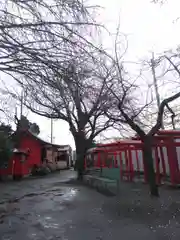 笠森稲荷神社の自然