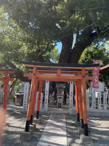 信太森神社（葛葉稲荷神社）の自然