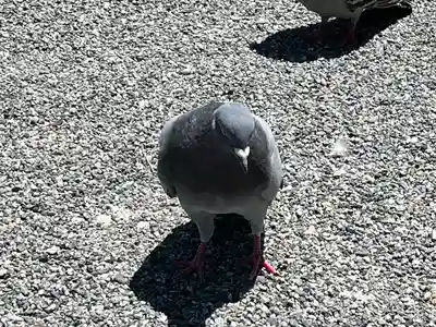 開口神社(大阪府)