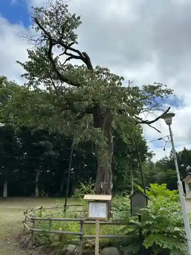 弟子屈神社(北海道)