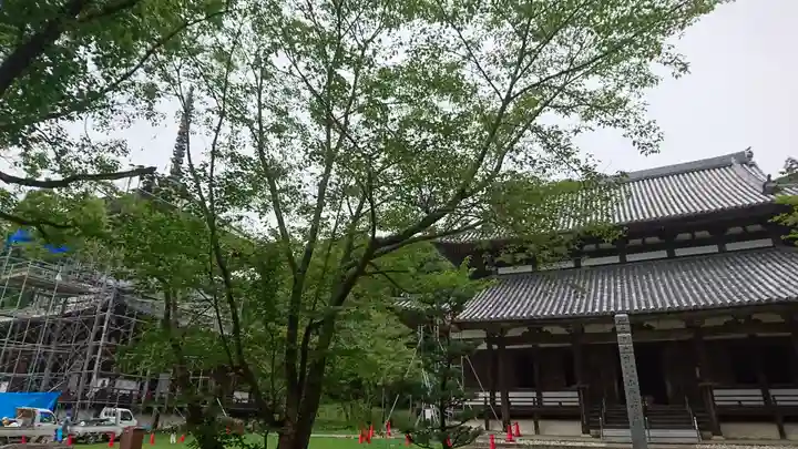 根来寺(和歌山県)