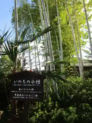 大安寺(奈良県)