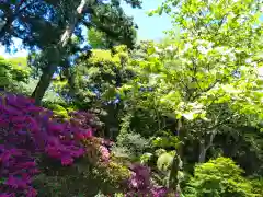 浄智寺の庭園