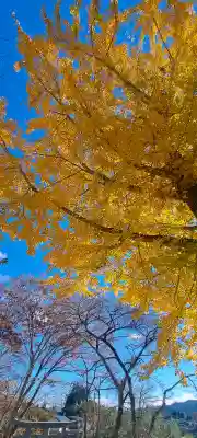 松峰神社、天照御祖神社(岩手県)
