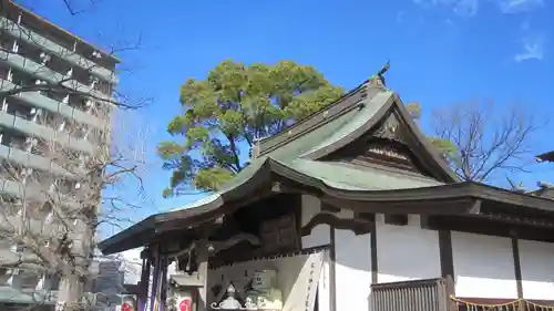 松戸神社(千葉県)