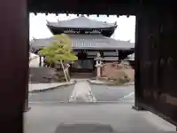 信行寺(京都府)