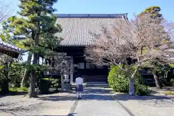 正覚寺 (吉良町吉田)の本殿・本堂