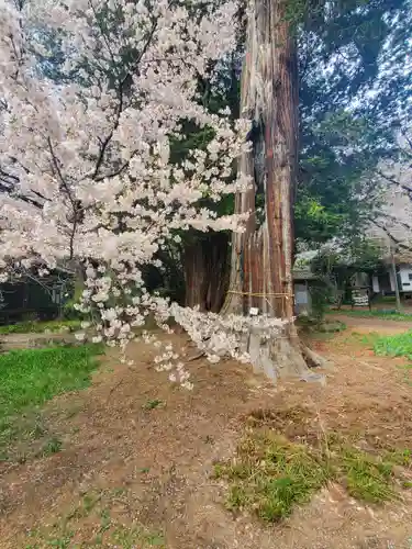 珊瑚寺(群馬県)
