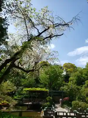 東郷神社(東京都)