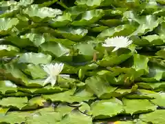 楽水亭　大龍寺(秋田県)